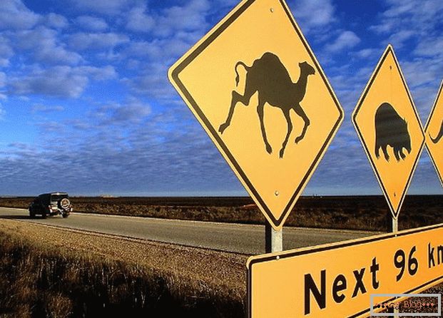 Avstralski cestni znak opozarja, da lahko različne živali prehajajo na cesto.