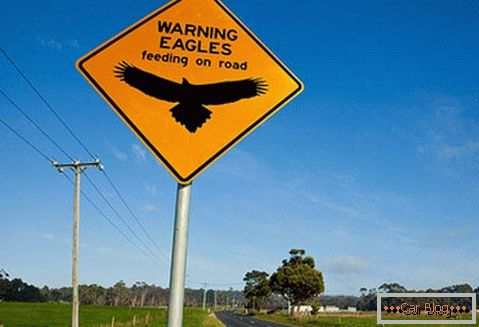 Opozorilo na možnost srečanja orlov na cesti